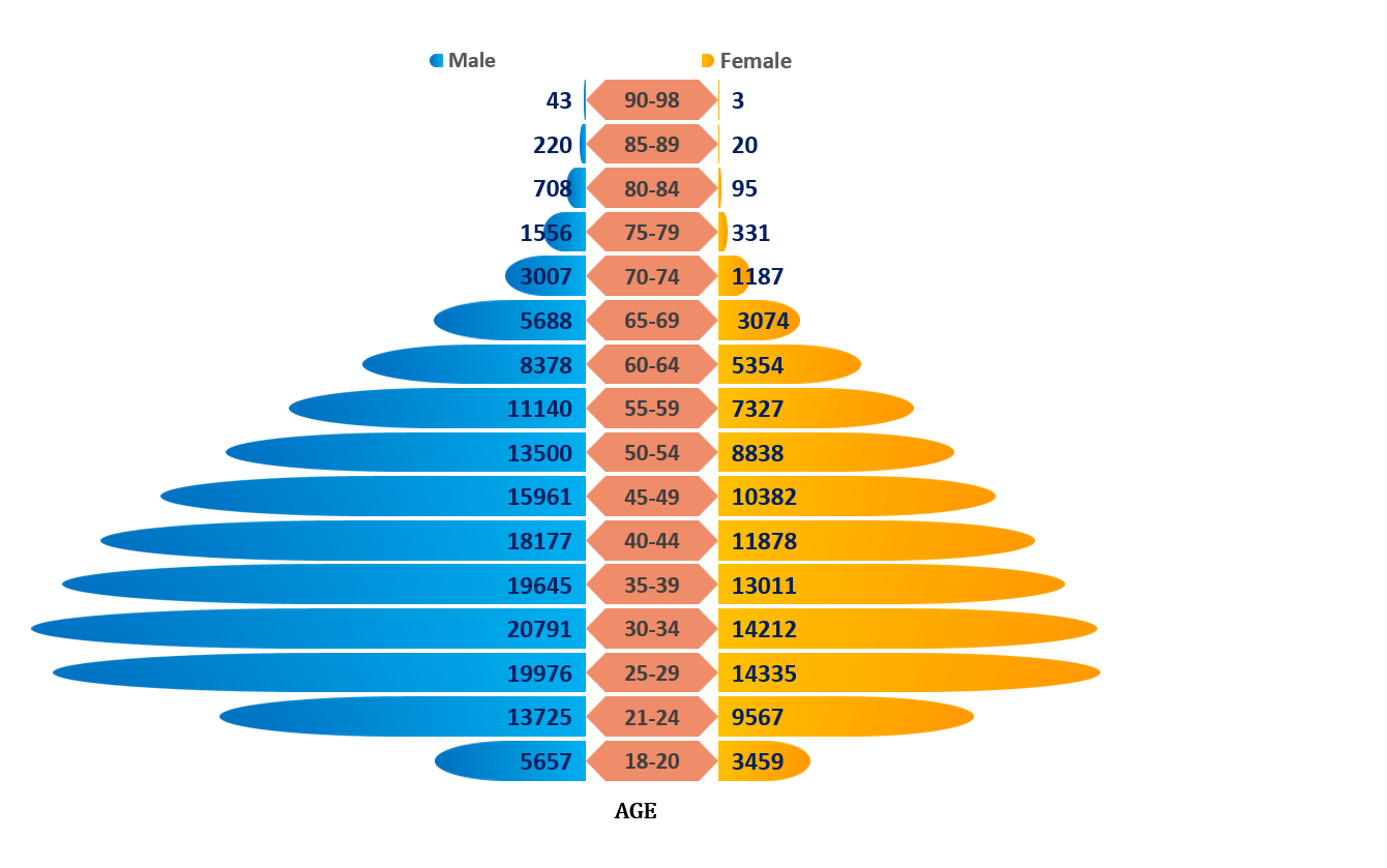 2 active dl by age and gender as of 7 jan 21.png