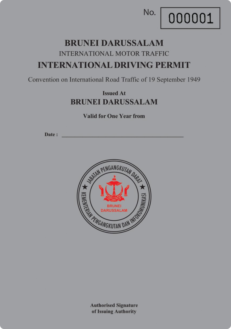 International driving permit